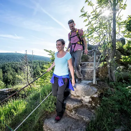 Hotel Alexandersbad 3*