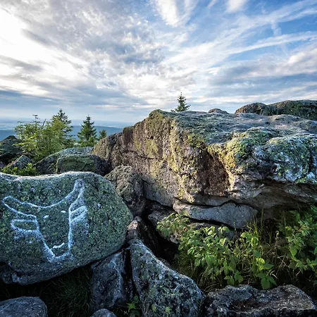 Alexandersbad Hotel Bad Alexandersbad