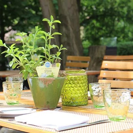 Hotel Alexandersbad 3*